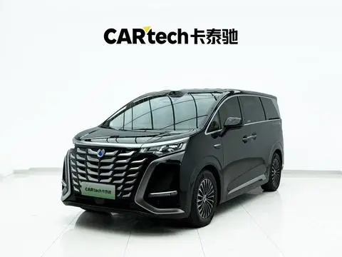 Denza D9 DM 2025