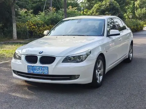 BMW 5 Series 2010