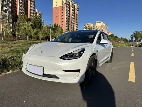 Tesla Model 3 2020