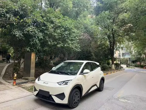 BYD Seagull 2026