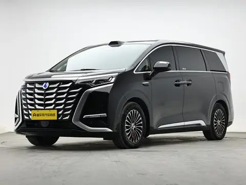 Denza D9 DM 2025