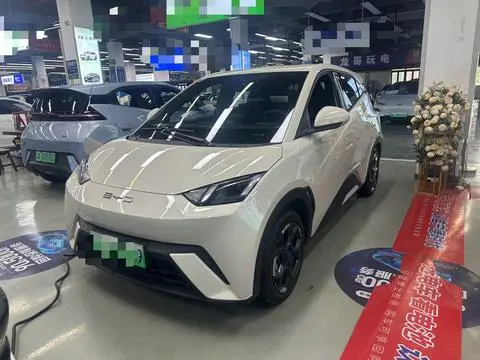 BYD Seagull 2024