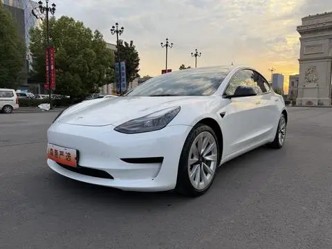 Tesla Model 3 2021