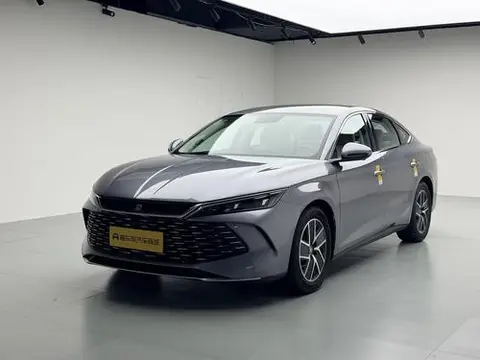 BYD 秦L DM 2024