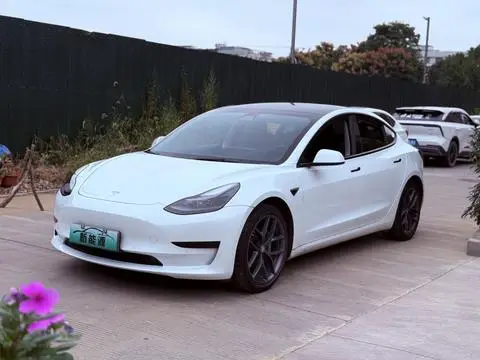 Tesla Model 3 2021 — фото 1