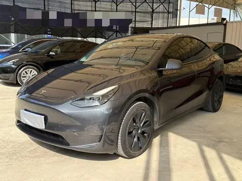 Tesla Model Y 2024 — фото 1