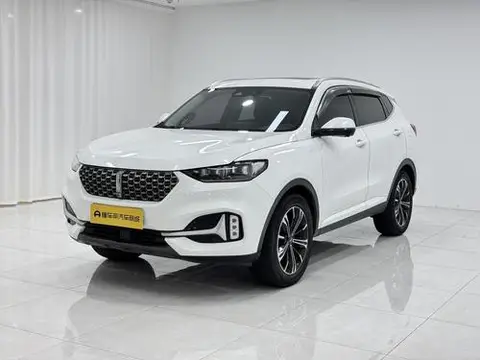 Wey VV6 2021