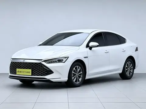 BYD Qin PLUS 2024 — фото 1