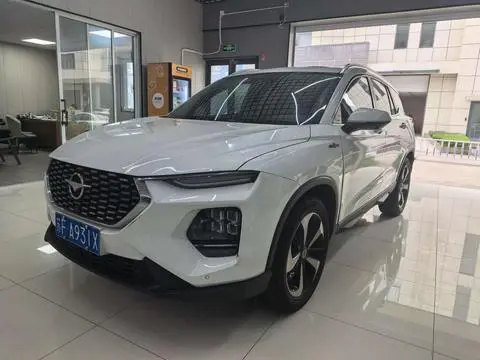 HAIMA 8S 2020
