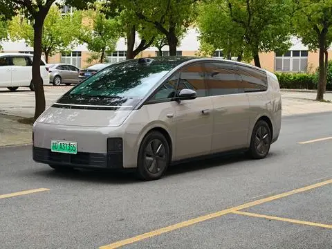 Li MEGA 2024