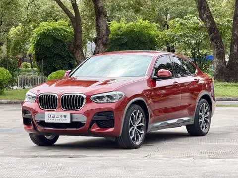 BMW X4 2019