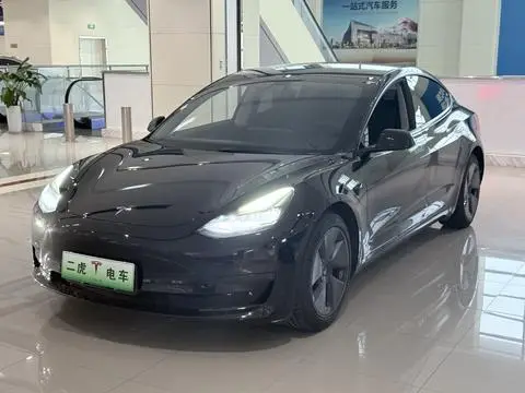 Tesla Model 3 2021 — фото 1