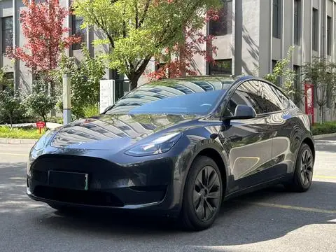 Tesla Model Y 2024 — фото 1