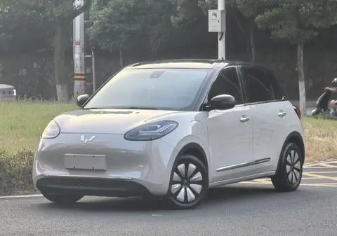 Wuling Bingo 2023