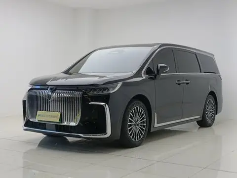 Voyah 梦想家 PHEV 2026