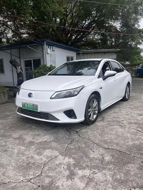 GAC AION S 2019
