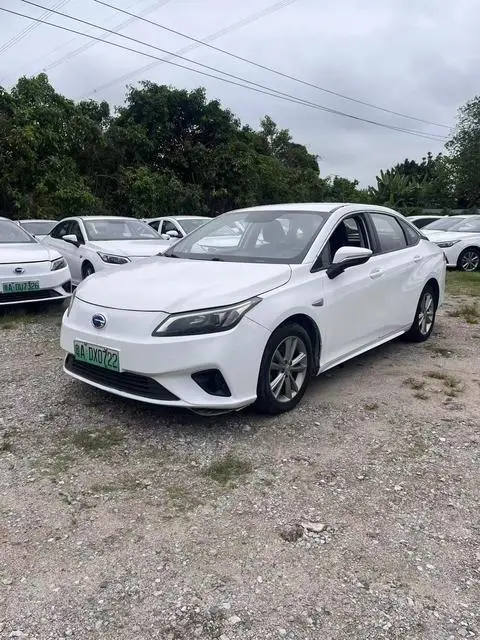 GAC AION S 2019