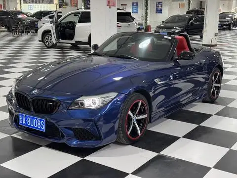 BMW Z4 2009