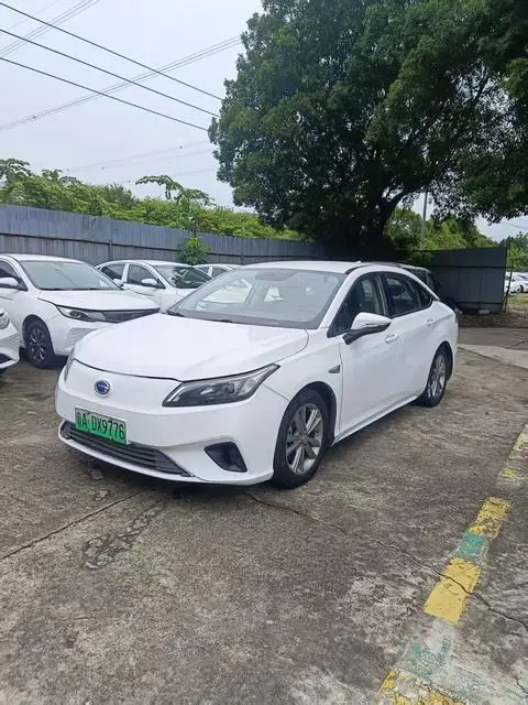 GAC AION S 2019