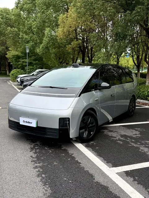 Li MEGA 2024