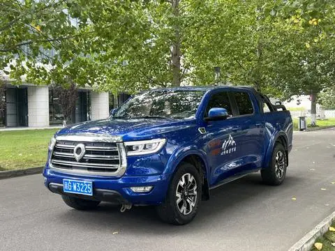 Great Wall 炮 2019