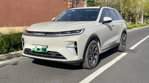 Haval 枭龙MAX 2025