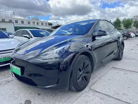 Tesla Model Y 2024 — фото 1