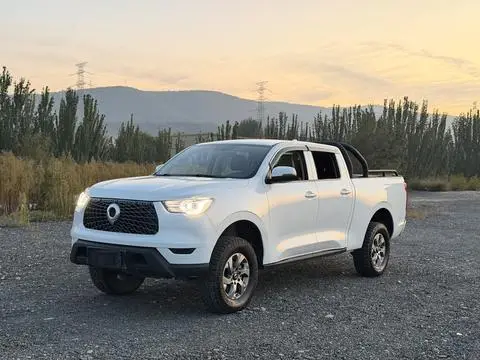 Great Wall 炮 2021
