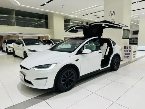 Tesla Model X 2023
