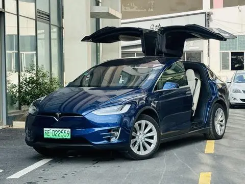 Tesla Model X 2019