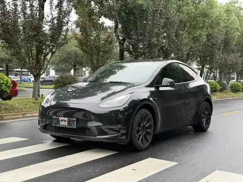 Tesla Model Y 2021 — фото 1