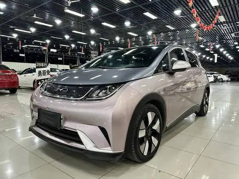 BYD Dolphin 2021