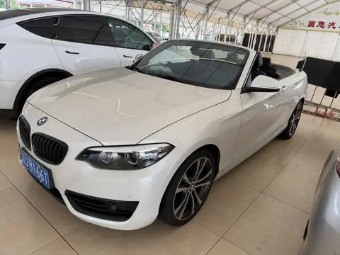 BMW 2 Series 2019