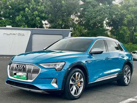 Audi e-tron 2019