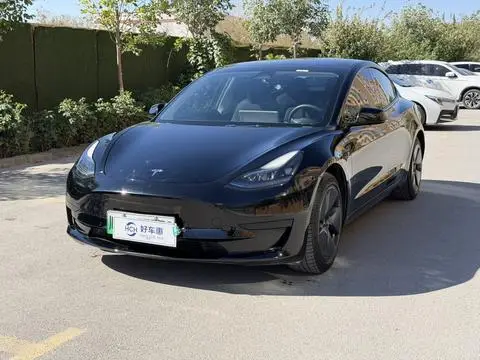 Tesla Model 3 2021 — фото 1