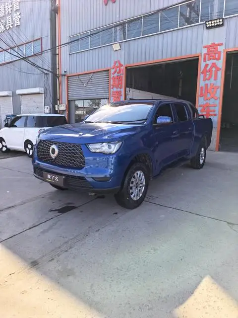 Great Wall 炮 2019