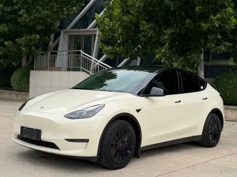 Tesla Model Y 2021 — фото 1