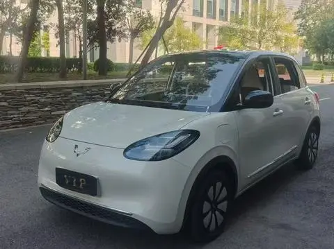 Wuling Bingo 2024