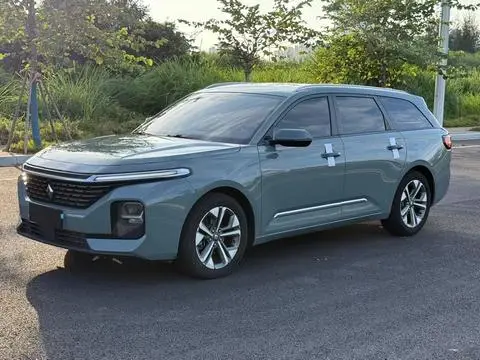 Baojun Valli 2021