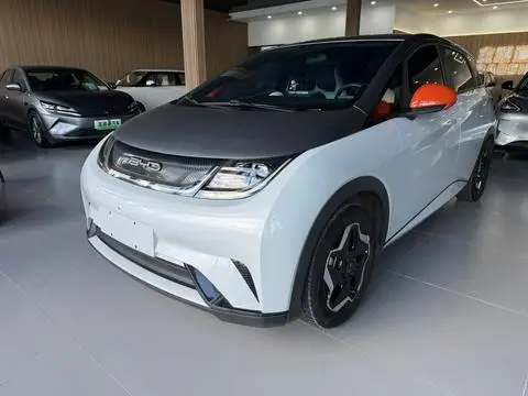 BYD Dolphin 2021