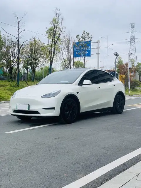 Tesla Model Y 2024 — фото 1
