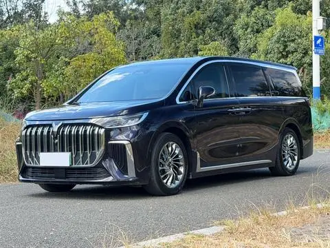 Voyah 梦想家 PHEV 2022