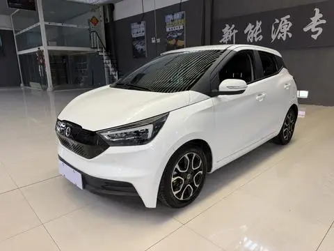 Jiangling 易至EV3 2019