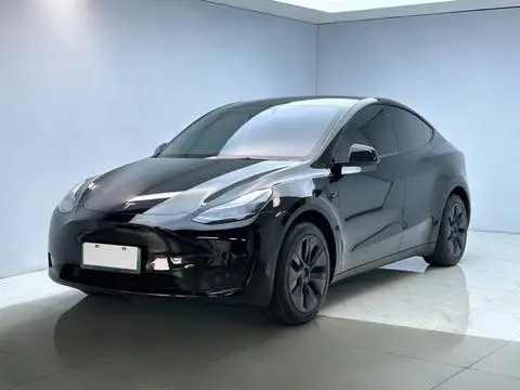 Tesla Model Y 2023 — фото 1