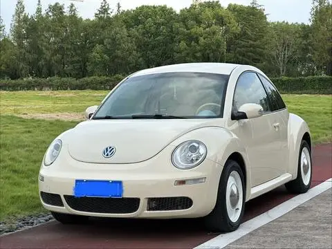 Volkswagen 甲壳虫 2010