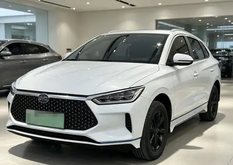 BYD e2 2021