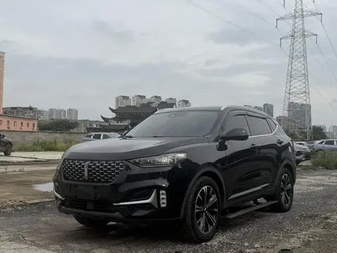 Wey VV6 2021