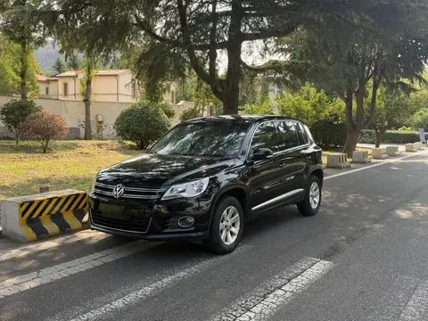 Volkswagen Tiguan 2010