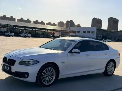 BMW 5 Series 2014 — фото 1