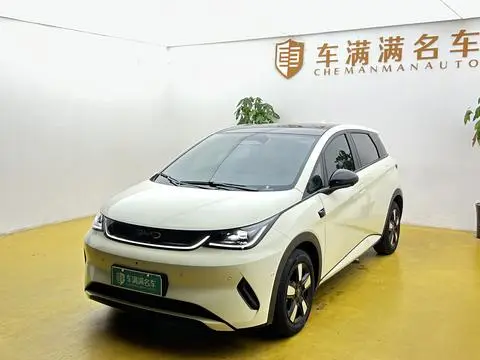 BYD Dolphin 2025